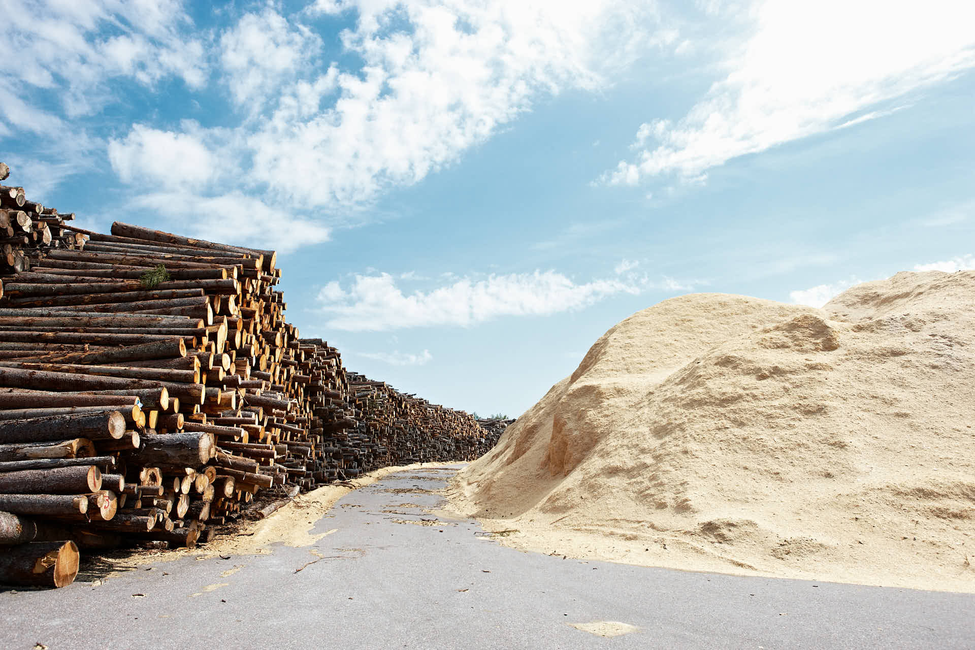 Virke och sågspån på anläggning som används för att producera pellets som biobränsle till Ena Energis värmeverk. Foto av Martin Ekwall.