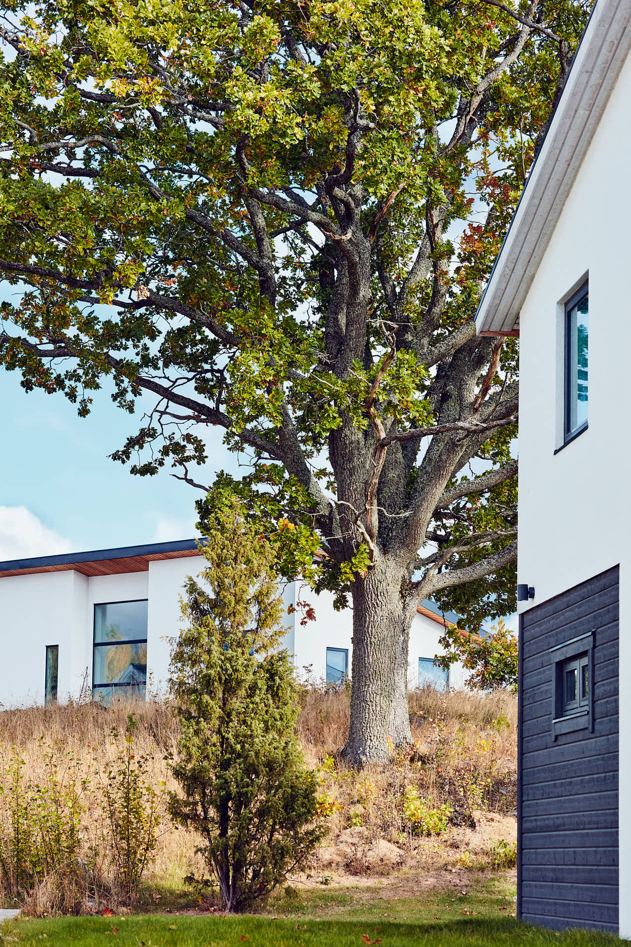 Gavel av villa med ek,  Glasberga Sjöstad i Södertälje. Kund Paradoumo, foto av Martin Ekwall
