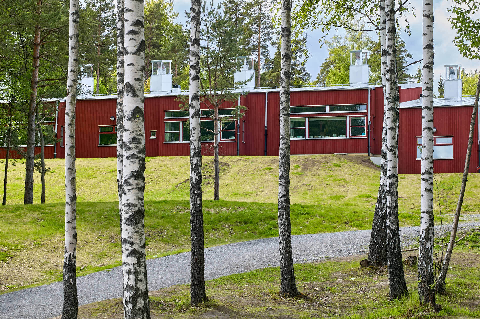 Norrsidan av Brunns skola i Värmdö, med björkar i förgrunden. Byggnaden ritades av White Arkitekter, foto av Martin Ekwall..