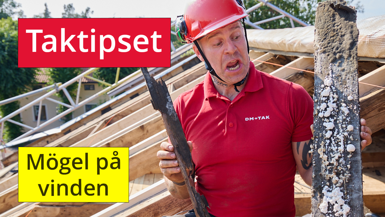 YouTube-tumnagel “Taktipset”: VD David Frykman håller trä med mögelpåväxt, text “Mögel på vinden”. Foto Martin Ekwall.